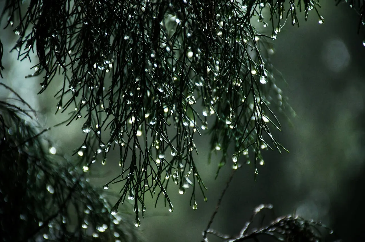 听雨落人间，予心一场温柔放空